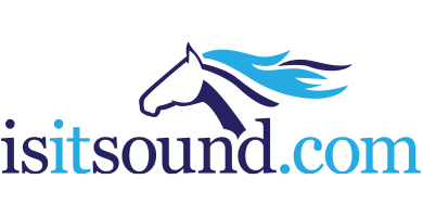 Is It Sound Ltd