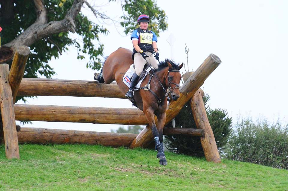 clare horse